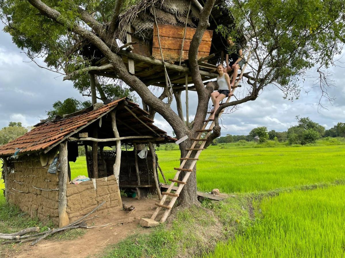 Thilina Homestay Sigiriya Exterior foto