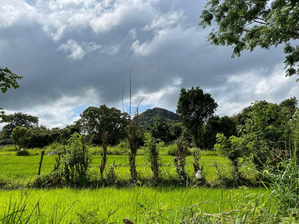 Thilina Homestay Sigiriya Exterior foto
